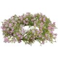 Floristik24 Blumenkranz künstlich Türkranz Wanddeko Ø30cm H6cm