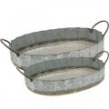 Floristik24 Blumenschale Metall Zinkschale Antik 2er-Set L45cm/59cm