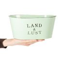 Blumenschale oval Mint Pflanzkübel Metall Vintage 27×18cm H12cm | Floristik24.de