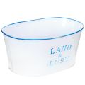 Blumenschale oval Pflanztopf