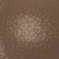 Blumenseide Leopardenmuster Braun Nassfest 50x75cm 20St | Floristik24.de