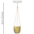 Blumentopf Glas Windlicht zum Hängen Lila Grün 14cm 2St | Floristik24.de