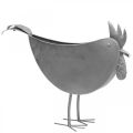 Floristik24 Blumentopf Huhn Metall Vogel Zink Metalldeko 51×16×37cm