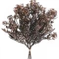 Kunstpflanzen Braun Herbstdeko Winterdeko Drylook 38cm 3St