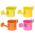 Floristik24 Bunte Gießkanne Deko Ø11cm H9,5cm zum Bepflanzen, Frühlingstischdeko Metall 8er-Set