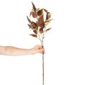 Künstliche Buntnessel mit roten Blättern Kunstpflanze 20cm | Floristik24.de
