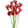 Floristik24 Calla Rot bordeaux Kunstblumen im Bund 57cm 12St