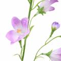 Floristik24 Künstliche Glockenblume Campanula Violett Weiß 66cm