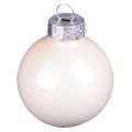 Christbaumkugeln Glas Baumkugeln Berry Mix Ø5cm 24 St Berry Rosa Beige creme glänzend | Floristik24.de