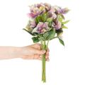 Kunstblume Christrose Bund mit violetten Blüten 35cm 6St | Floristik24.de
