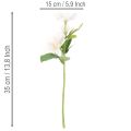 Kunstblume Christrose Bund Blumenstrauß Weihnachten 35cm 6St | Floristik24.de