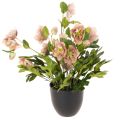 Floristik24 Helleborus künstlich Topfpflanze Christrose für Wohnraumdeko 50cm