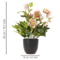 Helleborus künstlich Topfpflanze Christrose für Wohnraumdeko 50cm | Floristik24.de