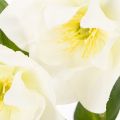 Christrose künstlich Topfblume Tischdeko 34cm | Floristik24.de