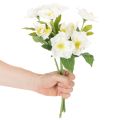 Kunstblume Christrose weiß Bund künstliche Weihnachtsdekoration | Floristik24.de