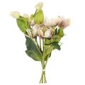 Christrose Künstliche Blumen Dekoration 30cm Bund mit 4St | Floristik24.de