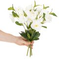 Christrose Künstliche Blume weiß Dekorativer Kunstblumen Bund mit 40cm 4St | Floristik24.de