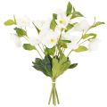Christrose Künstliche Blume weiß Dekorativer Kunstblumen Bund mit 40cm 4St | Floristik24.de