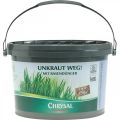 Floristik24 Chrysal Unkraut weg mit Rasendünger Unkrautvernichter 3kg