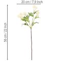 Kunstblume Chrysantheme cremeweißer Bund Dekozweig groß 56cm 4St | Floristik24.de