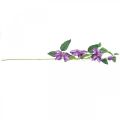 Floristik24 Künstliche Clematis, Seidenblume, Dekozweig mit Clematisblüten Violett L84cm