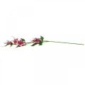 Floristik24 Clematiszweig mit 5 Blüten, Kunstblume, Deko-Zweig Pink, Weiß L84cm