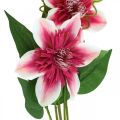 Floristik24 Clematiszweig mit 5 Blüten, Kunstblume, Deko-Zweig Pink, Weiß L84cm