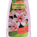 Floristik24 Combiflor Orchideen Vital 250ml