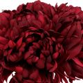 Floristik24 Chrysanthemenstrauß Bordeaux 28cm 6St
