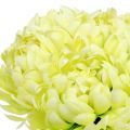 Floristik24 Strauß aus Chrysanthemen künstlich Creme, Gelb 28cm 6St