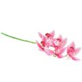 Floristik24 Cymbidium Orchidee künstlich 5 Blüten Rosa 65cm