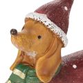 Dekofigur Dackel mit Geschenkpaket und Mütze 18cm | Floristik24.de