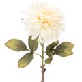 Floristik24 Künstliche Blume Dahlie für Vase 68cm