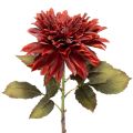 Floristik24 Kunstblume Dahlie mit langem Stiel 68cm