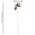 Kunstblume Dahlie langstielig mit zwei Blüten 75cm | Floristik24.de