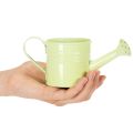 Deko Gießkannen Übertopf Metall Set 8-teilig, bunt, 16,5x7cm - Ideale Pflanzengefäße für Balkon & Küche | Floristik24.de