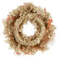 Deko Kranz Trockenblumen Blumenkranz Orange Creme Ø25cm | Floristik24.de