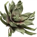 Floristik24 Deko Lotusblüte Künstlich Lotosblume Kunstblume Grün L70cm