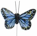 Floristik24 Deko-Schmetterlinge am Draht bunt 5,5cm 24St