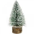 Weihnachtliche Dekoration, Deko-Tannenbaum, Mini-Tanne Grün beschneit H15cm Ø9,5cm 6St