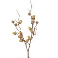 Floristik24 Deko Zweig Eicheln Deko Grün Herbstdeko künstlich 80cm