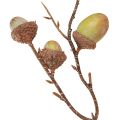 Deko Zweig Eicheln Deko Grün Herbstdeko künstlich 80cm | Floristik24.de