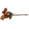 Deko Rosen Blumenstrauß Kunstblumen Rosenstrauß Orange 45cm 3St
