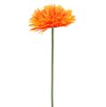 Floristik24 Deko Gerbera Orange Ø15cm L88cm