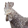 Floristik24 Deko Hühner Dekofigur Gartenfigur Huhn Vintage H17cm 2St