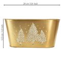 Deko Schale oval Tannenbaum Übertopf Gold 24×13×12,5cm | Floristik24.de