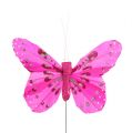 Floristik24 Deko Schmetterling Rosa-Pink sort. 6cm 24St