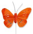 Floristik24 Deko-Schmetterlinge am Draht mehrfarbig 8 cm
