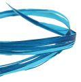 Floristik24 Dekobast zweifarbig Blau 200m