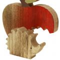 Floristik24 Dekofigur Apfel mit Igel Rot, Natur 13cm 3St